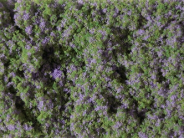 Auhagen 76931 Blumenmatte violett