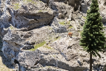 FALLER Fels- und Geländeschaum