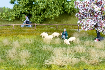 NOCH 7402 Natur+ “Wiese Frühling”