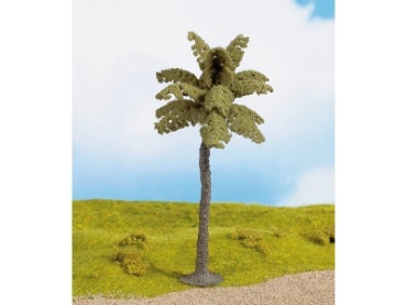 Palme, 15 cm hoch