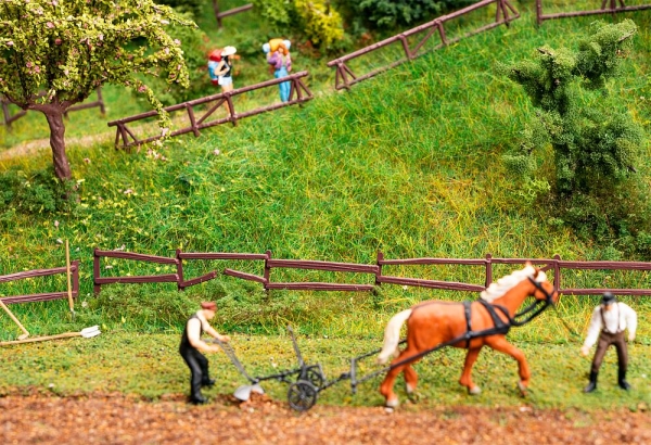 4 Garten- und Feldzäune